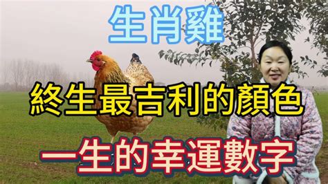 屬雞的幸運數字|屬雞的幸運數字是多少 「 不同年份屬雞人」幸運數字。